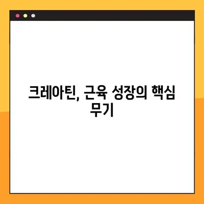 크레아틴 효과 후기| 근육 성장을 위한 당신의 선택 | 크레아틴 효능, 근육 성장, 운동 보충제, 후기