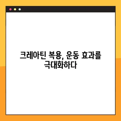 크레아틴 효과 후기| 근육 성장을 위한 당신의 선택 | 크레아틴 효능, 근육 성장, 운동 보충제, 후기