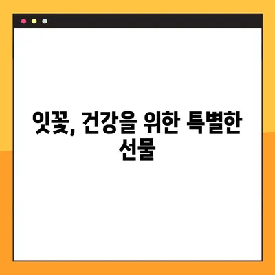 잇꽃의 효능과 부작용 완벽 정리 | 잇꽃차, 잇꽃 효능, 잇꽃 부작용, 잇꽃 먹는 방법