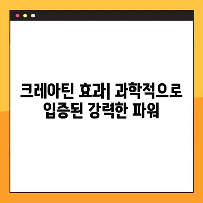 크레아틴 완벽 가이드| 효능, 부작용, 복용법 & 관리 후기 | 운동, 근육 성장, 건강