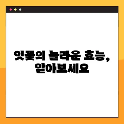 잇꽃의 효능과 부작용 완벽 정리 | 잇꽃차, 잇꽃 효능, 잇꽃 부작용, 잇꽃 먹는 방법