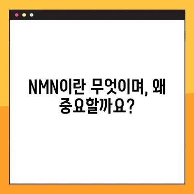 NMN의 모든 것| 효능, 부작용, 복용법 완벽 가이드 | 건강, 노화 방지, NAD+