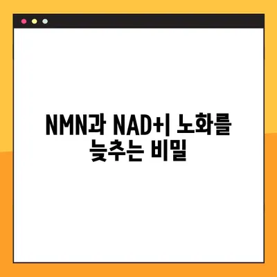 NMN의 모든 것| 효능, 부작용, 복용법 완벽 가이드 | 건강, 노화 방지, NAD+