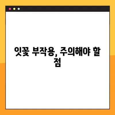 잇꽃의 효능과 부작용 완벽 정리 | 잇꽃차, 잇꽃 효능, 잇꽃 부작용, 잇꽃 먹는 방법