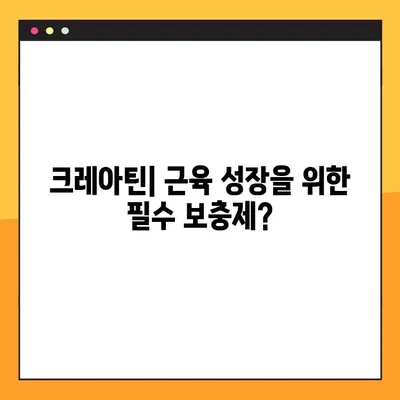 크레아틴의 모든 것| 효능, 부작용, 복용법, 주의사항 | 운동, 근육 성장, 건강, 보충제