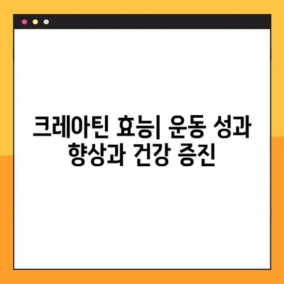 크레아틴의 모든 것| 효능, 부작용, 복용법, 주의사항 | 운동, 근육 성장, 건강, 보충제