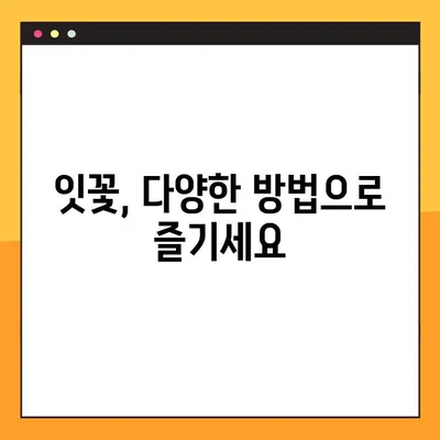 잇꽃의 효능과 부작용 완벽 정리 | 잇꽃차, 잇꽃 효능, 잇꽃 부작용, 잇꽃 먹는 방법