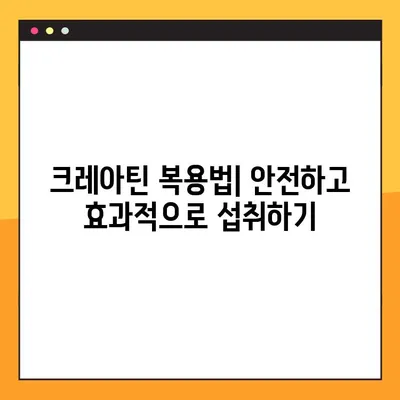 크레아틴의 모든 것| 효능, 부작용, 복용법, 주의사항 | 운동, 근육 성장, 건강, 보충제