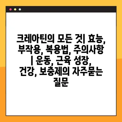 크레아틴의 모든 것| 효능, 부작용, 복용법, 주의사항 | 운동, 근육 성장, 건강, 보충제