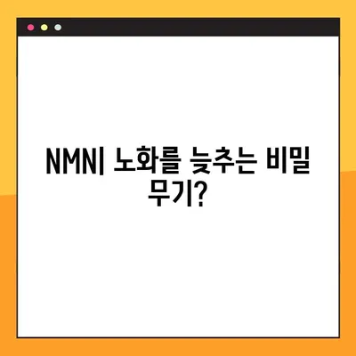 NMN의 효과, 부작용, 복용법| 레스베라트롤과의 연관성 | 노화 방지, 건강, 안전 정보