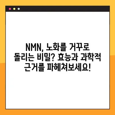 NMN의 놀라운 효능과 부작용, 복용법까지 완벽 분석| 레스베라트롤과의 시너지 효과 | NMN, 항노화, 건강, 레스베라트롤, 부작용, 복용법