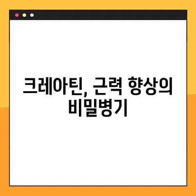 근력 강화의 핵심! 크레아틴| 효능, 부작용, 복용법 완벽 가이드 | 근육, 운동, 보충제, 건강