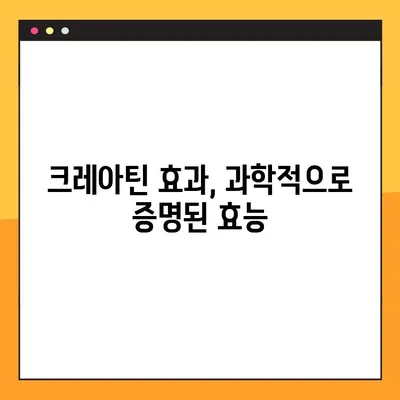 근력 강화의 핵심! 크레아틴| 효능, 부작용, 복용법 완벽 가이드 | 근육, 운동, 보충제, 건강