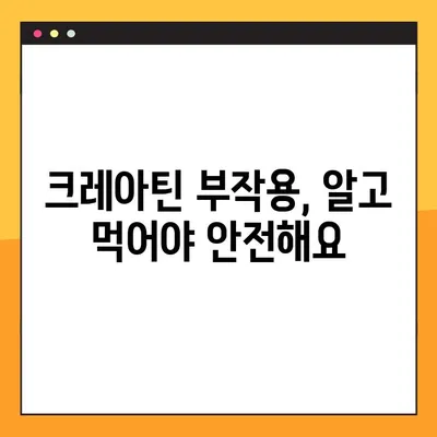 근력 강화의 핵심! 크레아틴| 효능, 부작용, 복용법 완벽 가이드 | 근육, 운동, 보충제, 건강