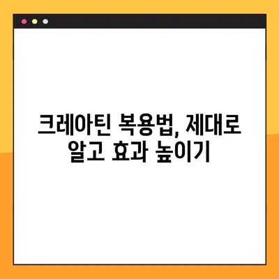 근력 강화의 핵심! 크레아틴| 효능, 부작용, 복용법 완벽 가이드 | 근육, 운동, 보충제, 건강