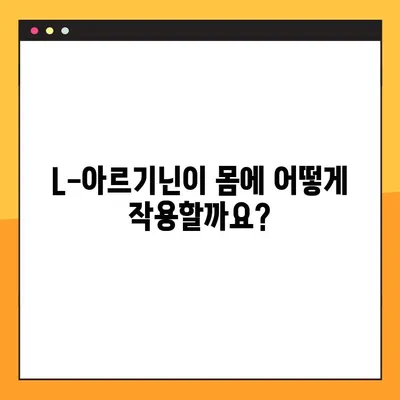 L-아르기닌 완벽 가이드| 효능, 복용법, 부작용 총정리 | 건강, 영양, 보충제, 운동