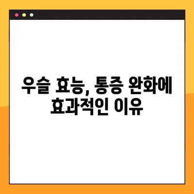 우슬의 효능, 부작용, 복용법 완벽 가이드 | 관절 건강, 통증 완화, 효과적인 복용 방법