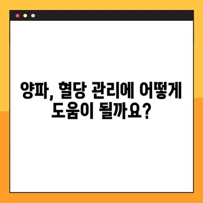 혈당 관리에 도움되는 양파| 효능, 부작용, 복용법 & 퀘르세틴의 역할 | 혈당, 당뇨, 건강, 양파즙