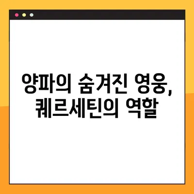 혈당 관리에 도움되는 양파| 효능, 부작용, 복용법 & 퀘르세틴의 역할 | 혈당, 당뇨, 건강, 양파즙