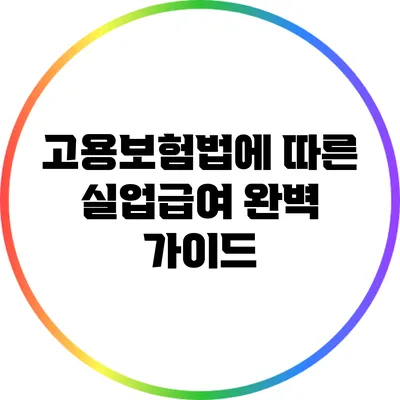 고용보험법에 따른 실업급여 완벽 가이드