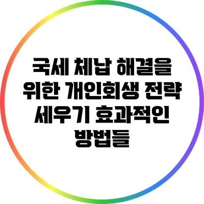 국세 체납 해결을 위한 개인회생 전략 세우기: 효과적인 방법들