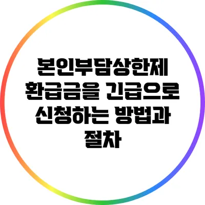 본인부담상한제 환급금을 긴급으로 신청하는 방법과 절차