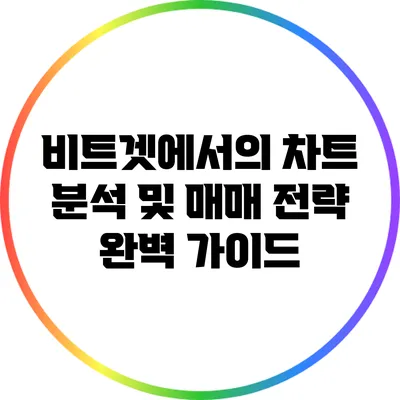 비트겟에서의 차트 분석 및 매매 전략 완벽 가이드