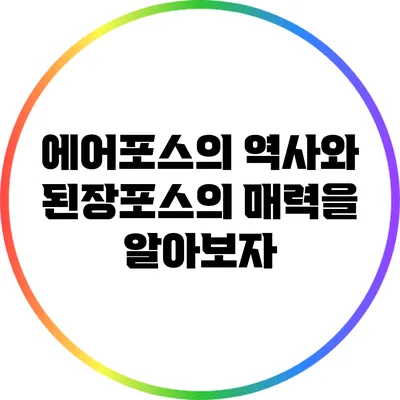 에어포스의 역사와 된장포스의 매력을 알아보자