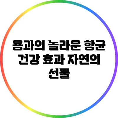 용과의 놀라운 항균 건강 효과: 자연의 선물