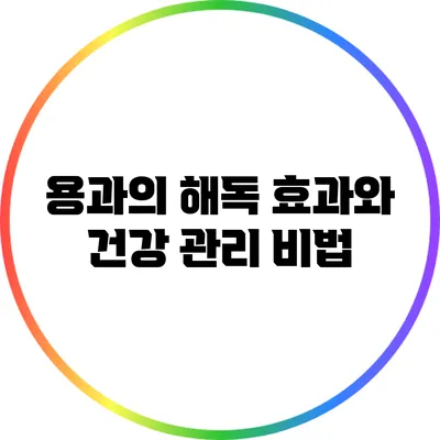 용과의 해독 효과와 건강 관리 비법