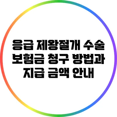 응급 제왕절개 수술 보험금 청구 방법과 지급 금액 안내