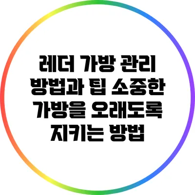레더 가방 관리 방법과 팁: 소중한 가방을 오래도록 지키는 방법