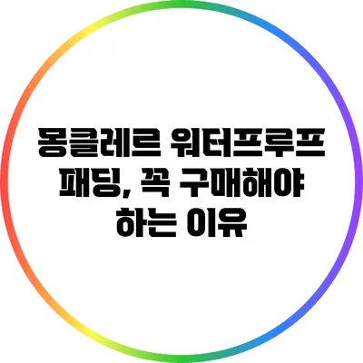몽클레르 워터프루프 패딩, 꼭 구매해야 하는 이유