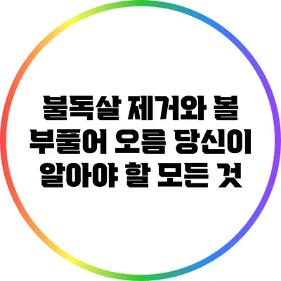 불독살 제거와 볼 부풀어 오름: 당신이 알아야 할 모든 것