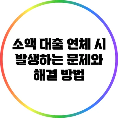 소액 대출 연체 시 발생하는 문제와 해결 방법