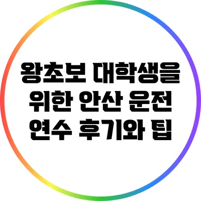 왕초보 대학생을 위한 안산 운전 연수 후기와 팁