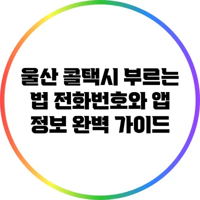 울산 콜택시 부르는 법: 전화번호와 앱 정보 완벽 가이드