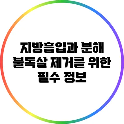 지방흡입과 분해: 불독살 제거를 위한 필수 정보