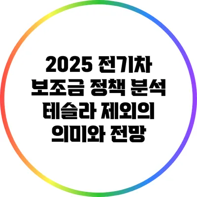 2025 전기차 보조금 정책 분석: 테슬라 제외의 의미와 전망