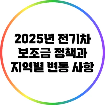 2025년 전기차 보조금 정책과 지역별 변동 사항