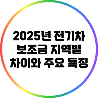 2025년 전기차 보조금: 지역별 차이와 주요 특징
