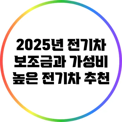 2025년 전기차 보조금과 가성비 높은 전기차 추천