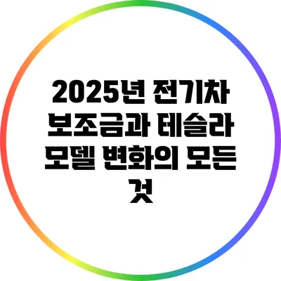 2025년 전기차 보조금과 테슬라 모델 변화의 모든 것