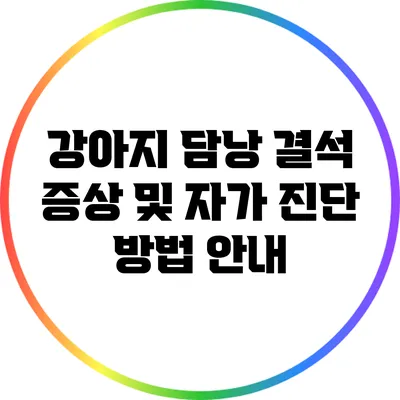 강아지 담낭 결석 증상 및 자가 진단 방법 안내