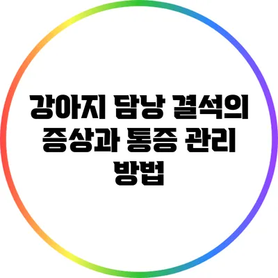 강아지 담낭 결석의 증상과 통증 관리 방법