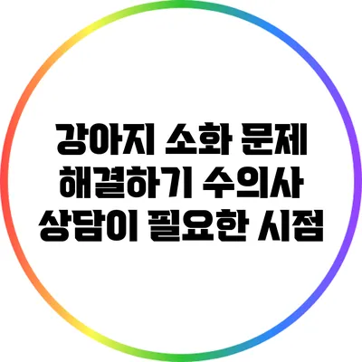 강아지 소화 문제 해결하기: 수의사 상담이 필요한 시점