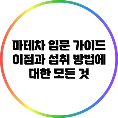 마테차 입문 가이드: 이점과 섭취 방법에 대한 모든 것