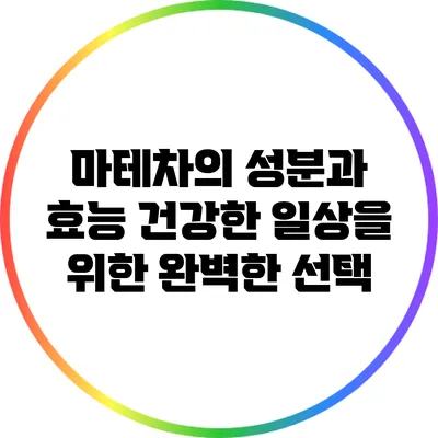 마테차의 성분과 효능: 건강한 일상을 위한 완벽한 선택