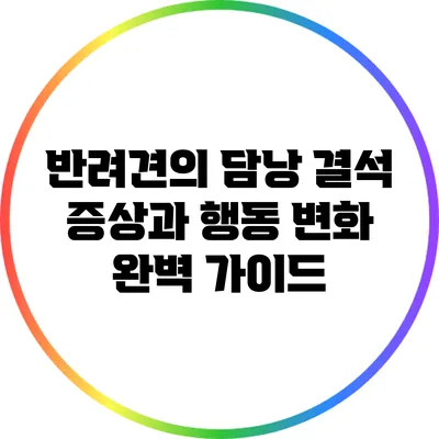 반려견의 담낭 결석 증상과 행동 변화 완벽 가이드