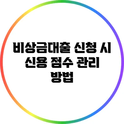 비상금대출 신청 시 신용 점수 관리 방법